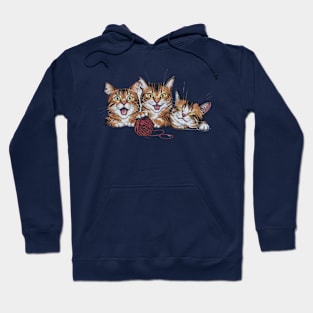 Three Cats Three Moods Hoodie